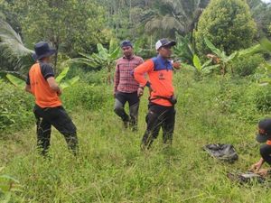 Temuan BPBD Saat Selidiki Lahan Kritis di Ciamis