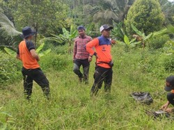 Temuan BPBD Saat Selidiki Lahan Kritis di Ciamis