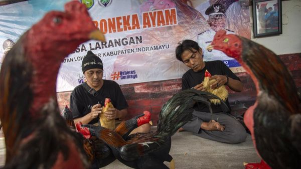 Belajar Bikin Boneka Ayam, Cara Desa Larangan Tekan Pengangguran