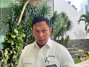 Bantah Harga Beras Melejit, Bos Bulog Jamin Masih Sesuai HET