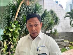 Bantah Harga Beras Melejit, Bos Bulog Jamin Masih Sesuai HET