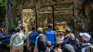 Gratis Masuk, Pengunjung Padati Kebun Binatang Bandung