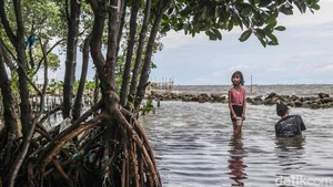 Menikmati Libur Nataru di Pantai Marunda Jakarta Utara