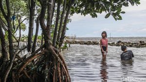 Menikmati Libur Nataru di Pantai Marunda Jakarta Utara