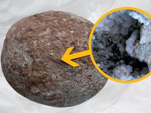 Telur Dinosaurus 70 Juta Tahun Ini Ternyata Berisi Kristal Berkilau