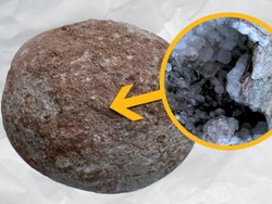 Telur Dinosaurus 70 Juta Tahun Ini Ternyata Berisi Kristal Berkilau