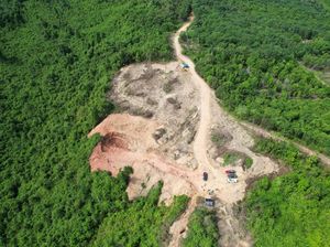 Aktivitas Tambang Ilegal di Hutan Lindung TNK, 8 Alat Berat Diamankan