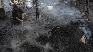 Arang Kayu Jadi Buruan Jelang Tahun Baru, Produksi Naik Dua Kali Lipat