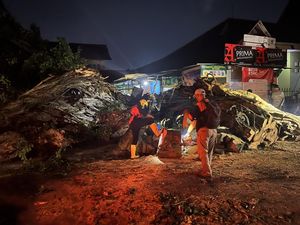 Pohon Beringin di Alun-alun Utara Jogja Tumbang, Timpa 5 Motor-Warung