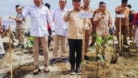 Cegah Abrasi di Karawang, Bupati Aep Tanam 5.000 Mangrove