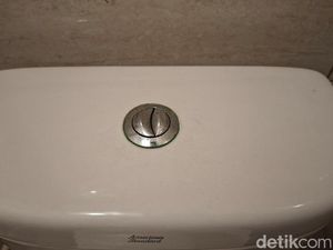 Banyak Kloset Duduk Punya 2 Tombol Flush, Apa Sih Fungsinya?