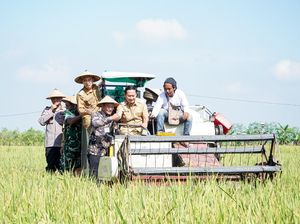 Lampaui Target Nasional, LTT Lamongan Perkuat Swasembada Pangan
