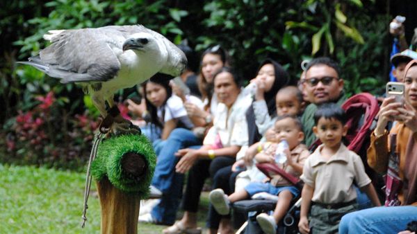 Taman Safari Bogor Jadi Destinasi Favorit Libur Sekolah