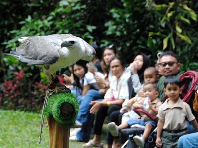 Taman Safari Bogor Jadi Destinasi Favorit Libur Sekolah