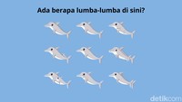 Mulai Sulit Fokus usai Libur Panjang? Coba Asah Lagi dengan Hitung Jumlah Hewan Ini