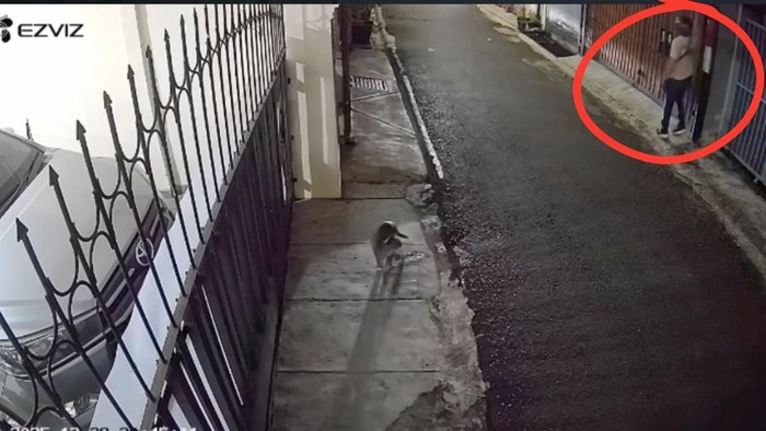 Polda Metro Jaya Usut Laporan Teror Bangkai Ayam-Molotov ke Rumah DJ Donny