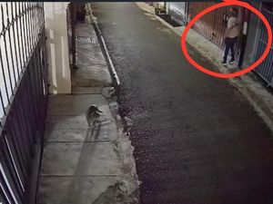 Dikirimi Bangkai Ayam hingga Bom Molotov, DJ Donny Lapor Polisi