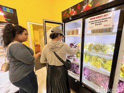 Tren Makan Anggur Sambut Tahun Baru di Banyuwangi, Penjualan Melesat 100%