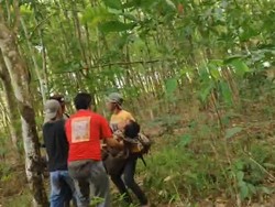 Warga Lampung Timur Tewas Diseruduk Gajah Liar di Wilayah Way Kambas