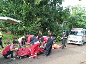 Pemotor Hantam Pohon-Bebatuan di Pekalongan, 2 Pemuda Tewas di Lokasi