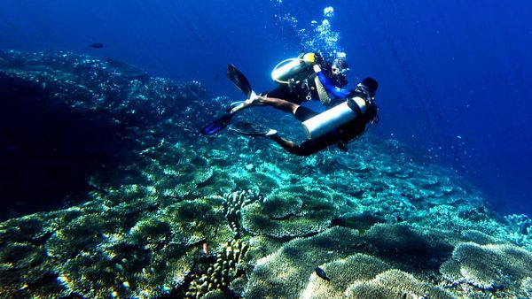 Libur Tahun Baru, Kunjungan Wisatawan ke Taman Laut Olele Meningkat