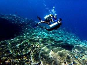 Libur Tahun Baru, Kunjungan Wisatawan ke Taman Laut Olele Meningkat