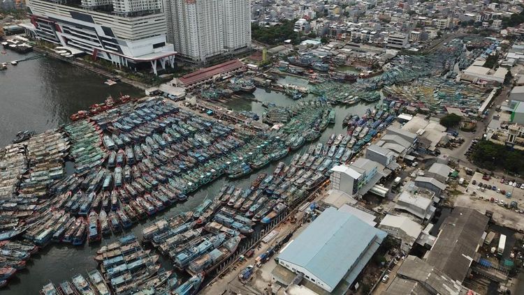 Moratorium Izin Labuh Kapal Ikan Muara Angke Diberlakukan Sementara