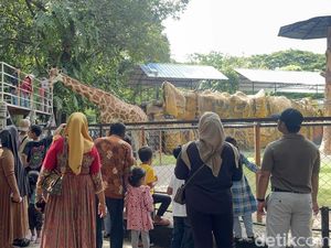 Libur Tahun Baru, KBS Dipadati 30 Ribu Pengunjung