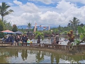 Panduan Lengkap Liburan ke Bumi Besemah Pagar Alam 2026, Ini Destinasinya!