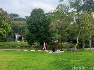 Manfaat Ruang Terbuka Hijau untuk Kesehatan Mental Berdasarkan Studi