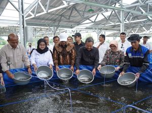 KKP Proyeksikan Boyolali Jadi Pusat Penghasil Lele di Jateng
