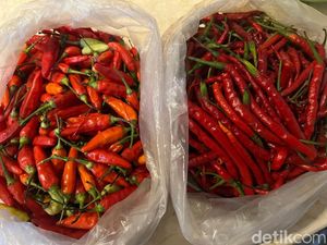 Begini Pengalaman Beli Cabe Takengon dari Aceh yang Masih Segar!