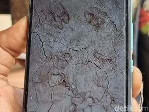 Misteri Jejak Diduga Macan di Semanu Gunungkidul