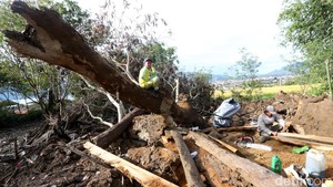 Korban Bencana Aceh Tengah Manfaatkan Kayu Gelondongan
