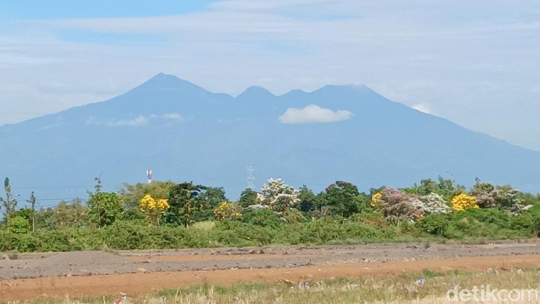 Giliran Pendakian Gunung Arjuno-Welirang Ditutup gegara Karhutla!