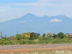 Giliran Pendakian Gunung Arjuno-Welirang Ditutup gegara Karhutla!