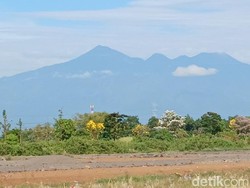 Giliran Pendakian Gunung Arjuno-Welirang Ditutup gegara Karhutla!