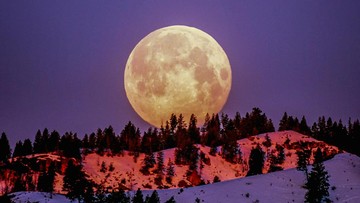 Ada Purnama Flower Moon di Mei 2026, Catat Waktu dan Tips Melihatnya