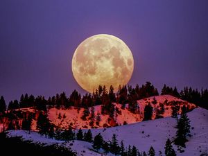 Fenomena Wolf Moon 3 Januari 2026: Jadwal, Dampak, Cara Lihat, dan Maknanya