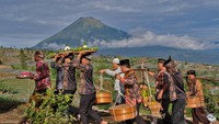 Tradisi Nyadran Rejeban Digelar di Lereng Gunung Sumbing