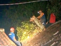 6 Kecamatan di Tulungagung Diterjang Hujan-Angin, Puluhan Rumah Rusak