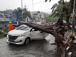 Video: Detik-detik Pohon Tumbang Timpa Mobil di Sidoarjo