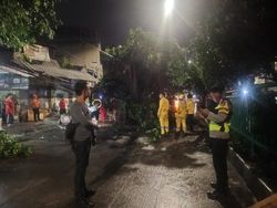 Polsek Palmerah Tangani Pohon Tumbang di KS Tubun Usai Terima Aduan Warga