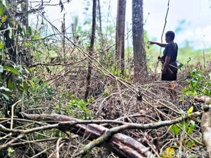 Curhat Warga Punan Batu Benau, Khawatir Perambahan Hutan Merajalela