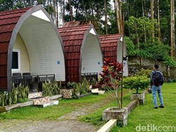 Cuaca Tak Menentu, Okupansi Penginapan di Sembalun Turun Selama Libur Nataru