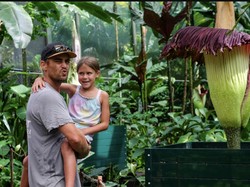 Bunga Bangkai Asli Sumbar Tarik Ribuan Pengunjung Taman di Negara Tetangga
