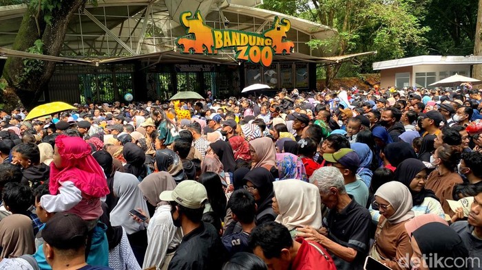 Ribuan Pengunjung Bandung Zoo Membeludak di Hari Terakhir Tiket Gratis