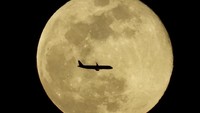 Potret Supermoon Perdana 2026, Wolf Moon Menyapa Berbagai Negara
