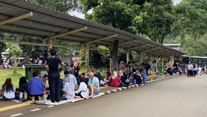Video: Kunjungan ke Ragunan Saat Imlek Cenderung Landai