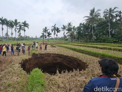 Lubang Raksasa di Tengah Sawah Sumbar Bikin Heboh, Ini Penampakannya